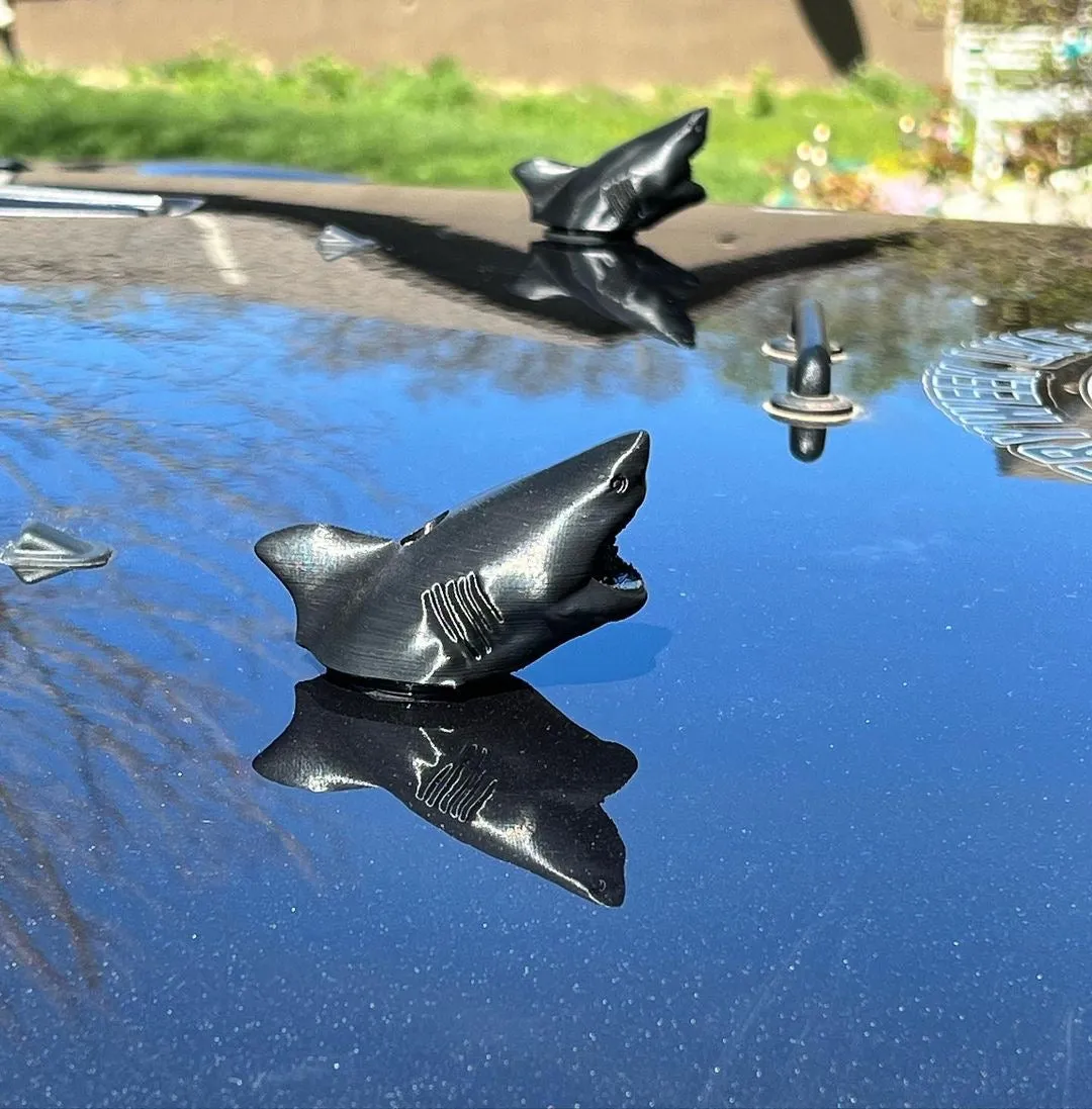 ANIMALS. Pair.