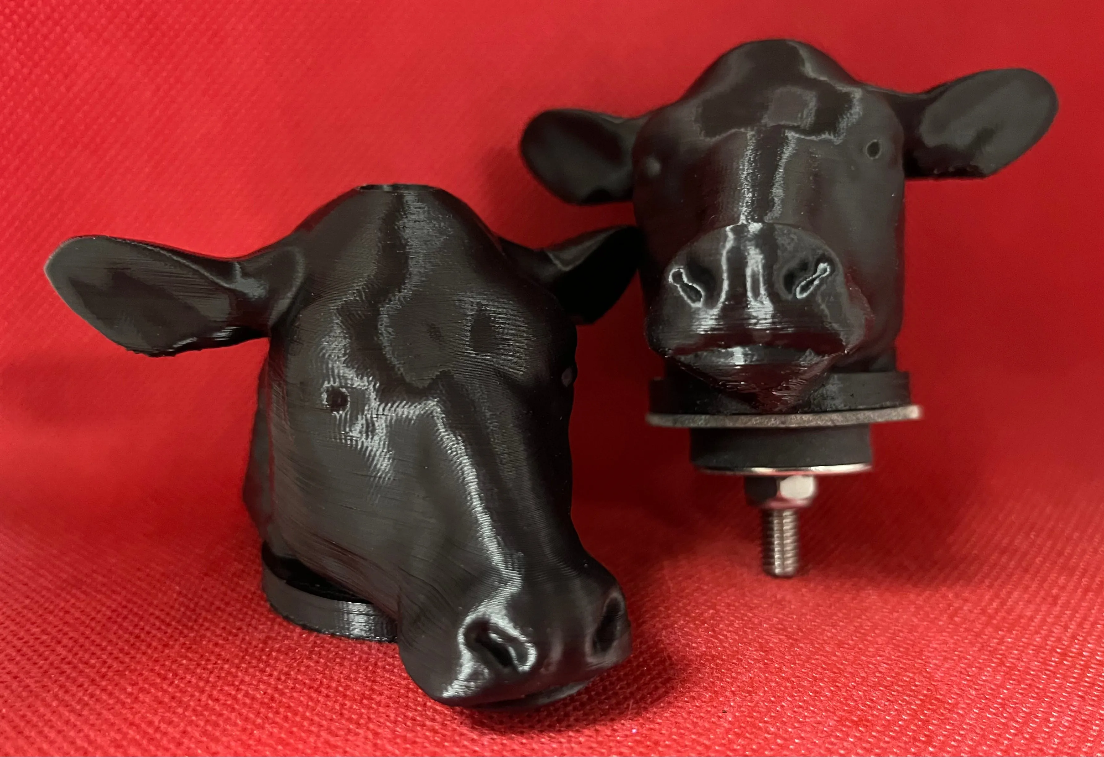 ANIMALS. Pair.