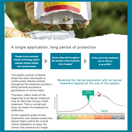 Apivar Varroa Mite Treatment Strips