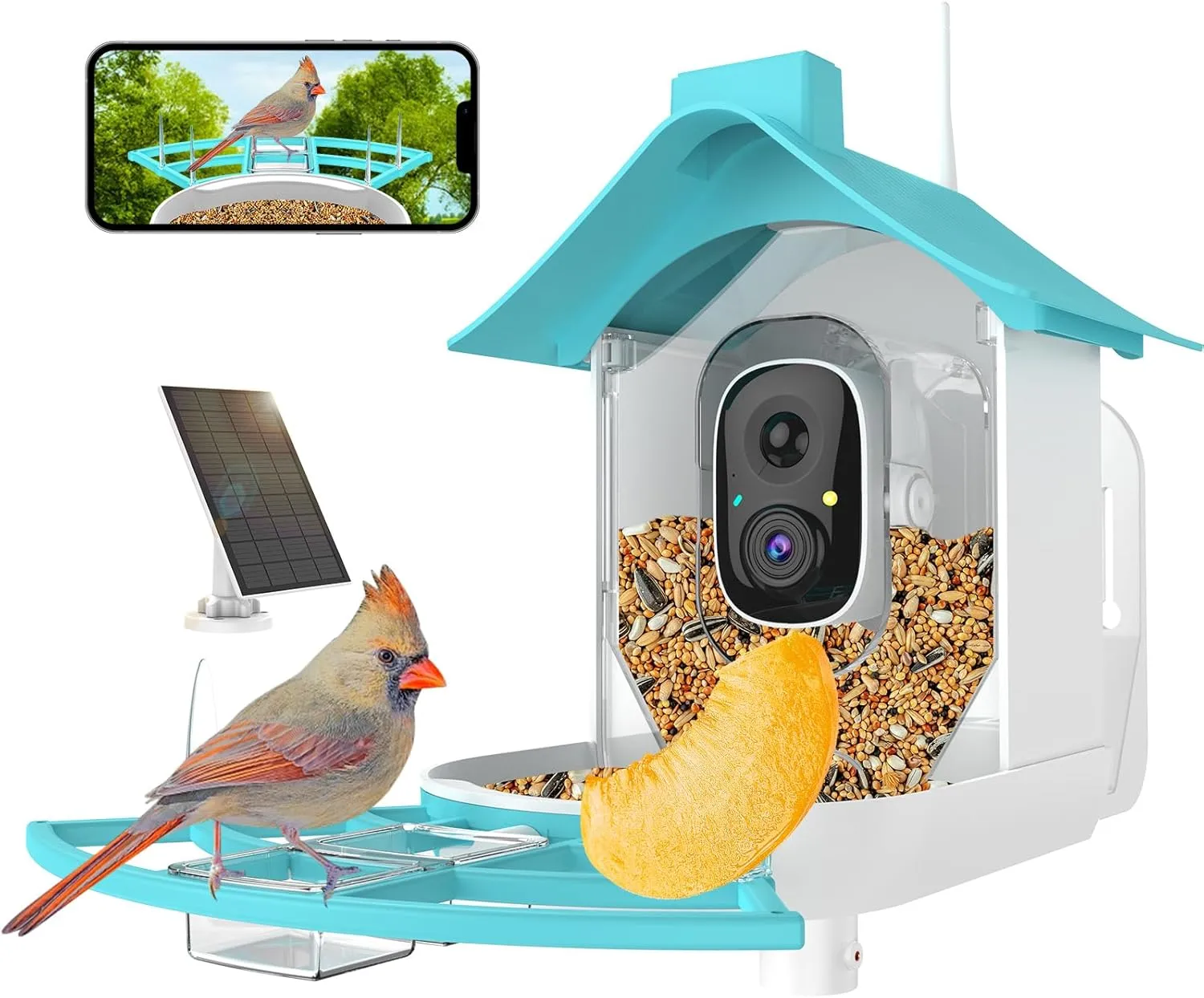Bird Feeder with Camera, Smart Bird Feeder Camera with AI Identify Instant Notifications, FHD Live View,Birds Watching Camera with Solar Panel in Backyard, Ideal Gift for Family and Birds Lover,Blue