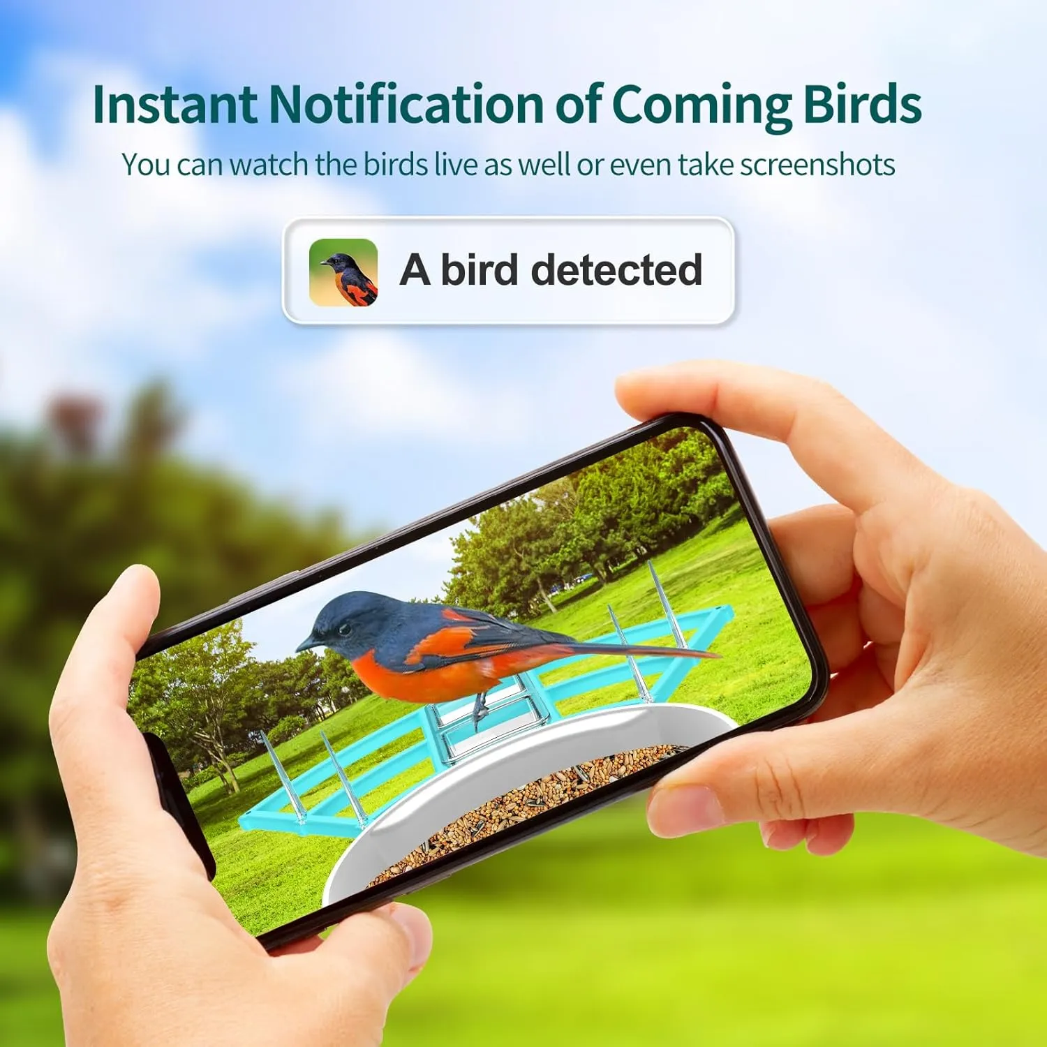 Bird Feeder with Camera, Smart Bird Feeder Camera with AI Identify Instant Notifications, FHD Live View,Birds Watching Camera with Solar Panel in Backyard, Ideal Gift for Family and Birds Lover,Blue