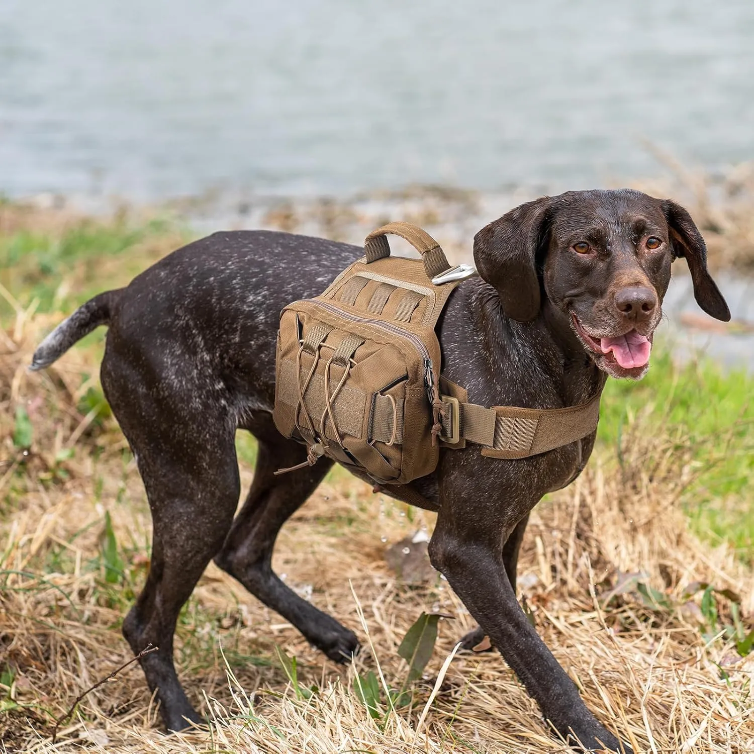 EXCELLENT ELITE SPANKER Dog Pack Hound Dog Saddle Bag Backpack for Travel Camping Hiking Medium & Large Dog with 2 Capacious Side Pockets(Gry-L)