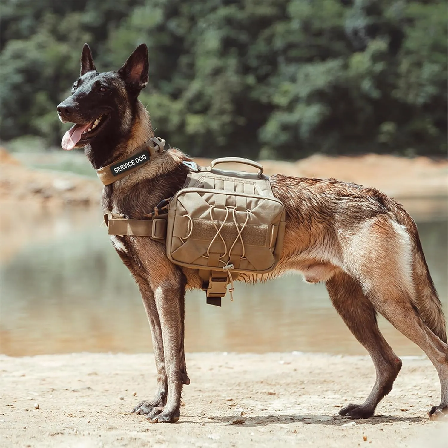 EXCELLENT ELITE SPANKER Dog Pack Hound Dog Saddle Bag Backpack for Travel Camping Hiking Medium & Large Dog with 2 Capacious Side Pockets(Gry-L)