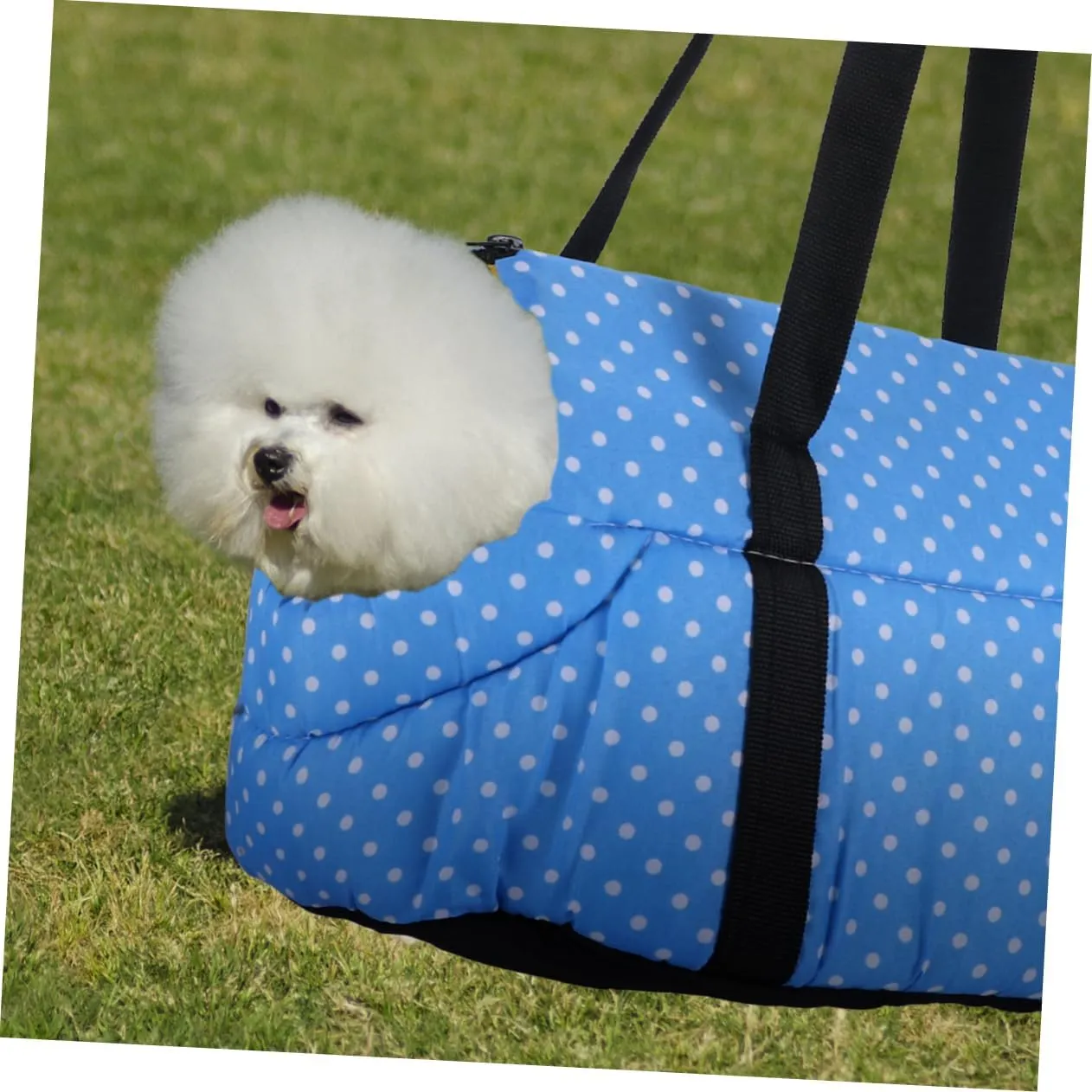 Garneck 1pc Portable Pet Backpack for Small Dogs Blue Outdoor Travel Pouch Convenient Shoulder Bag for Pet Storage Easy Zipper Access Comfort for Left Right Shoulder