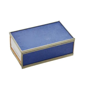 Glass Matchbox Cover-Cobalt Lizard