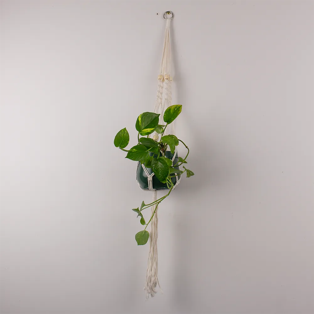 Macrame Pot Plant Hangers
