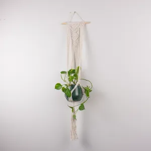 Macrame Pot Plant Hangers