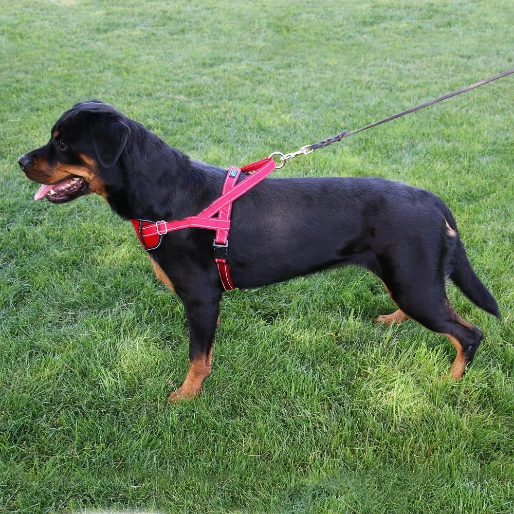 Max and Neo Passport Reflective Dog Harness - We Donate a Harness to a Dog Rescue for Every Harness Sold (X-Large, RED)