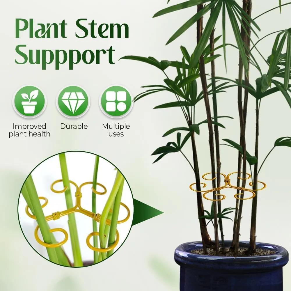 Monstera Plant Support Durable Stabilizer Grapple Holder,Plant Accessories Stable Plant Stem Support Stakes for Outdoor & Indoor Growing Climbing Plant Care Thriving Growth (3, Heart)