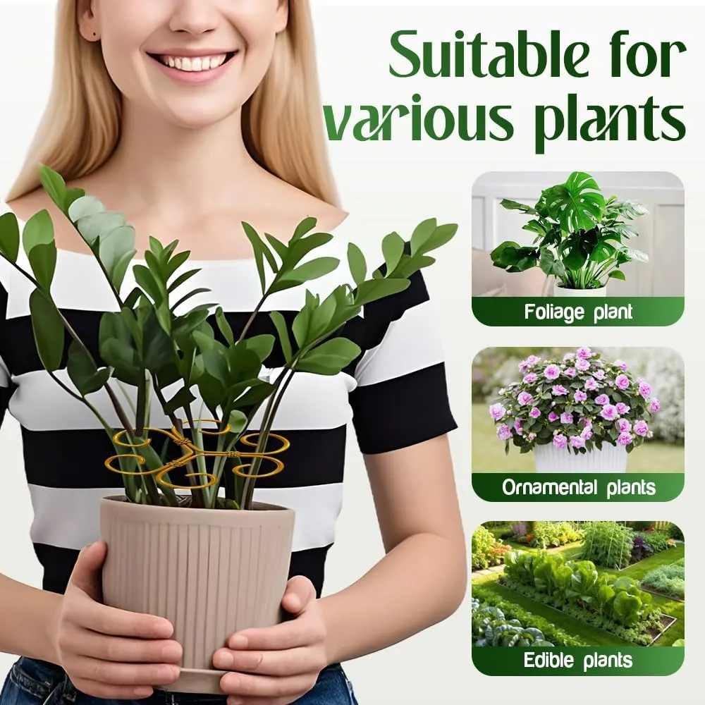 Monstera Plant Support Durable Stabilizer Grapple Holder,Plant Accessories Stable Plant Stem Support Stakes for Outdoor & Indoor Growing Climbing Plant Care Thriving Growth (3, Heart)