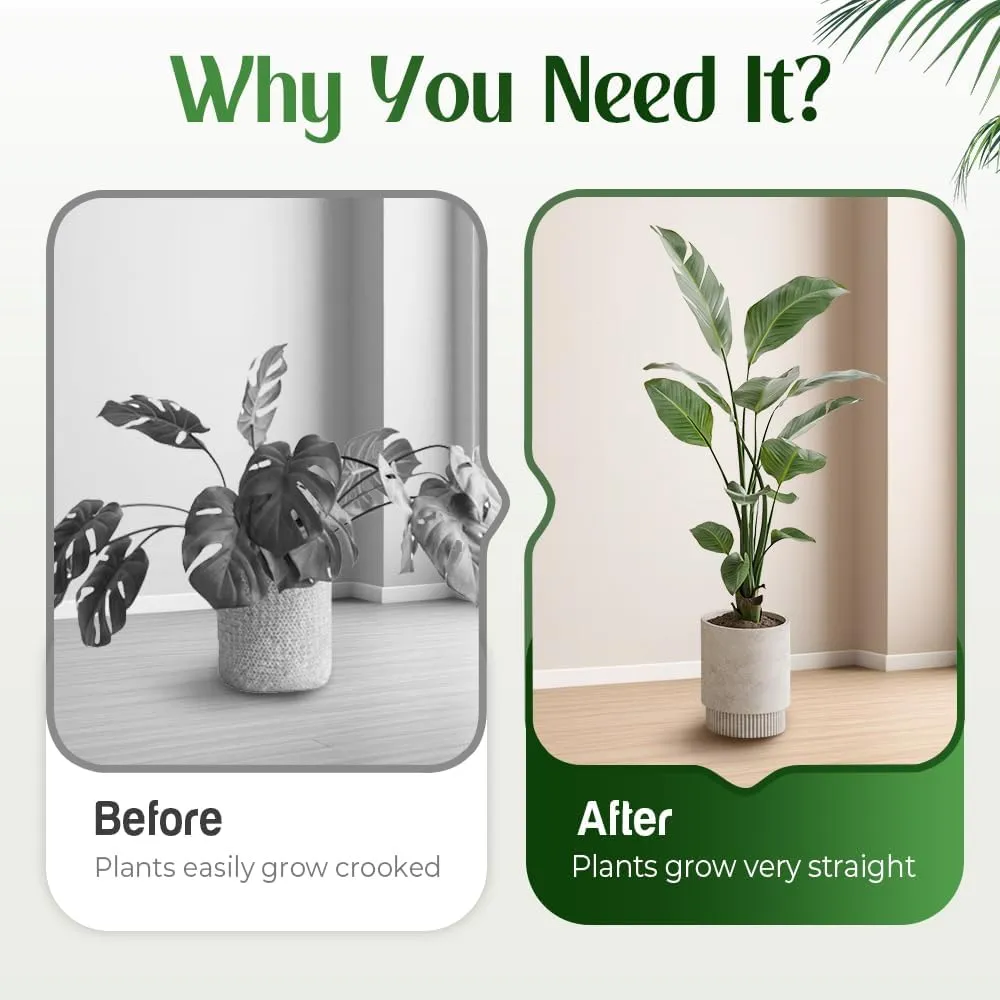 Monstera Plant Support Durable Stabilizer Grapple Holder,Plant Accessories Stable Plant Stem Support Stakes for Outdoor & Indoor Growing Climbing Plant Care Thriving Growth (3, Heart)