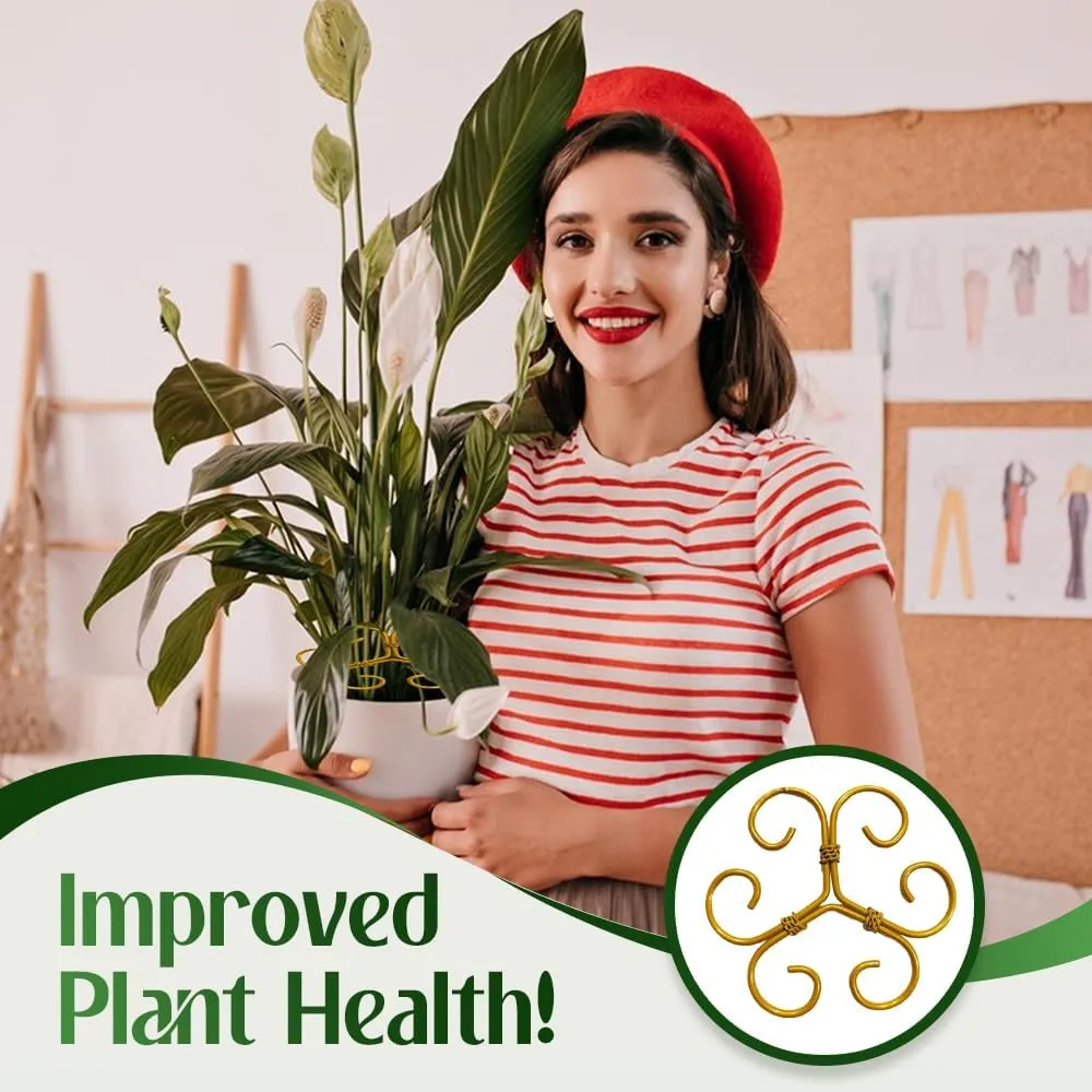 Monstera Plant Support Durable Stabilizer Grapple Holder,Plant Accessories Stable Plant Stem Support Stakes for Outdoor & Indoor Growing Climbing Plant Care Thriving Growth (3, Heart)