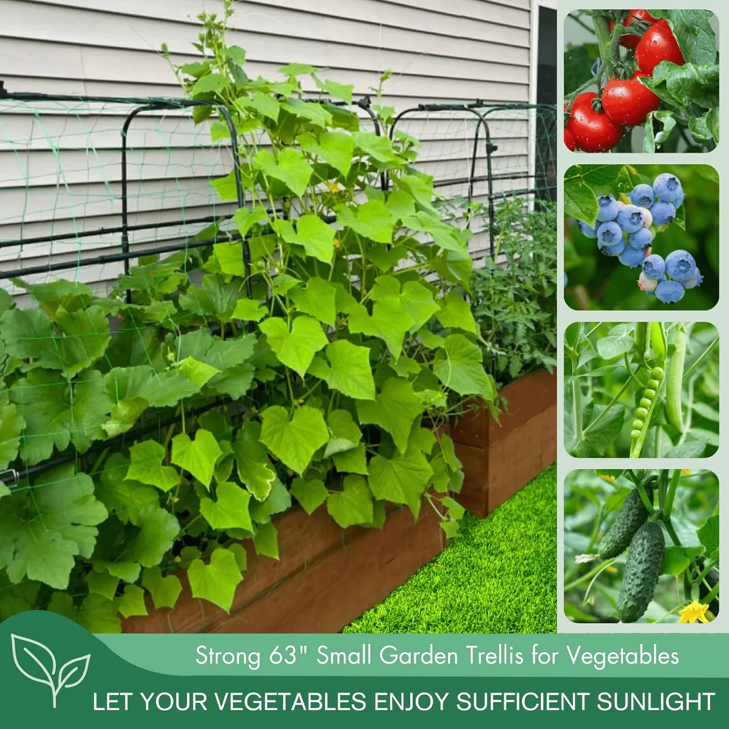 Montresor Cucumber Trellis 5.3FT Black PE Coated Stainless Steel Garden Trellis for Climbing Plants Outdoor, Garden Trellis Arch for Vegetables, Gardening Pea Trellis with Trellis Netting