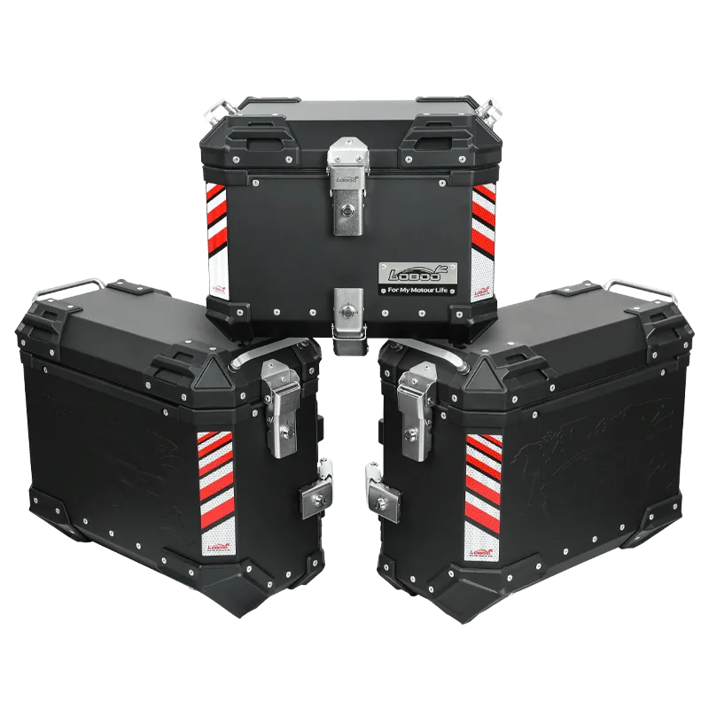 PIKE TRACKER Series Side Cases and Top Case-BMW R1300GS