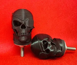 PIRATE. Pair.