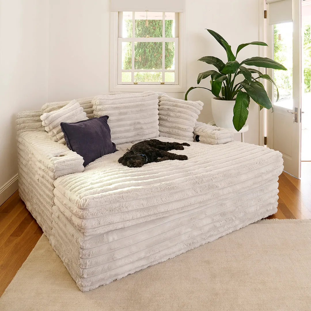 Primetime Daybed