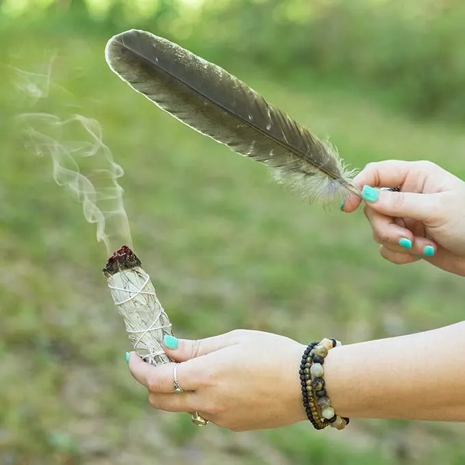 Purple Canyon Smudge Kit (Beginner's Gift Set) - 3 White Sage Smudge Sticks, 2 Palo Santo, Abalone Shell, Smudge Feather w/Stand   Smudging Guide for Home Cleansing & Healing Meditation Rituals