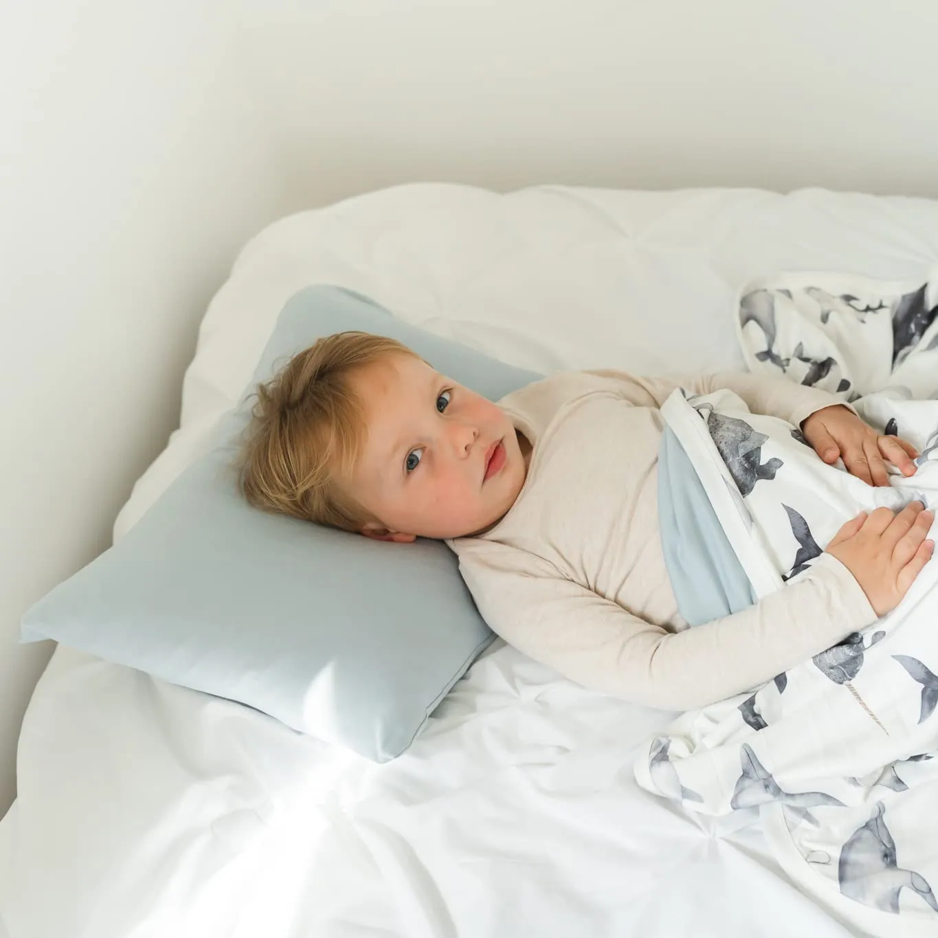 Solid Pillowcase - Baby Blue
