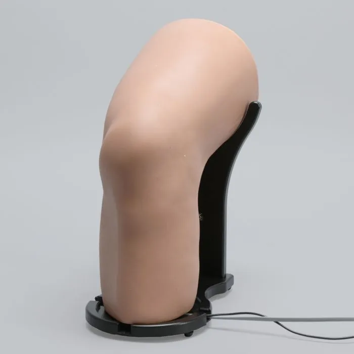 Stand for 1517-6 Knee Injection Model